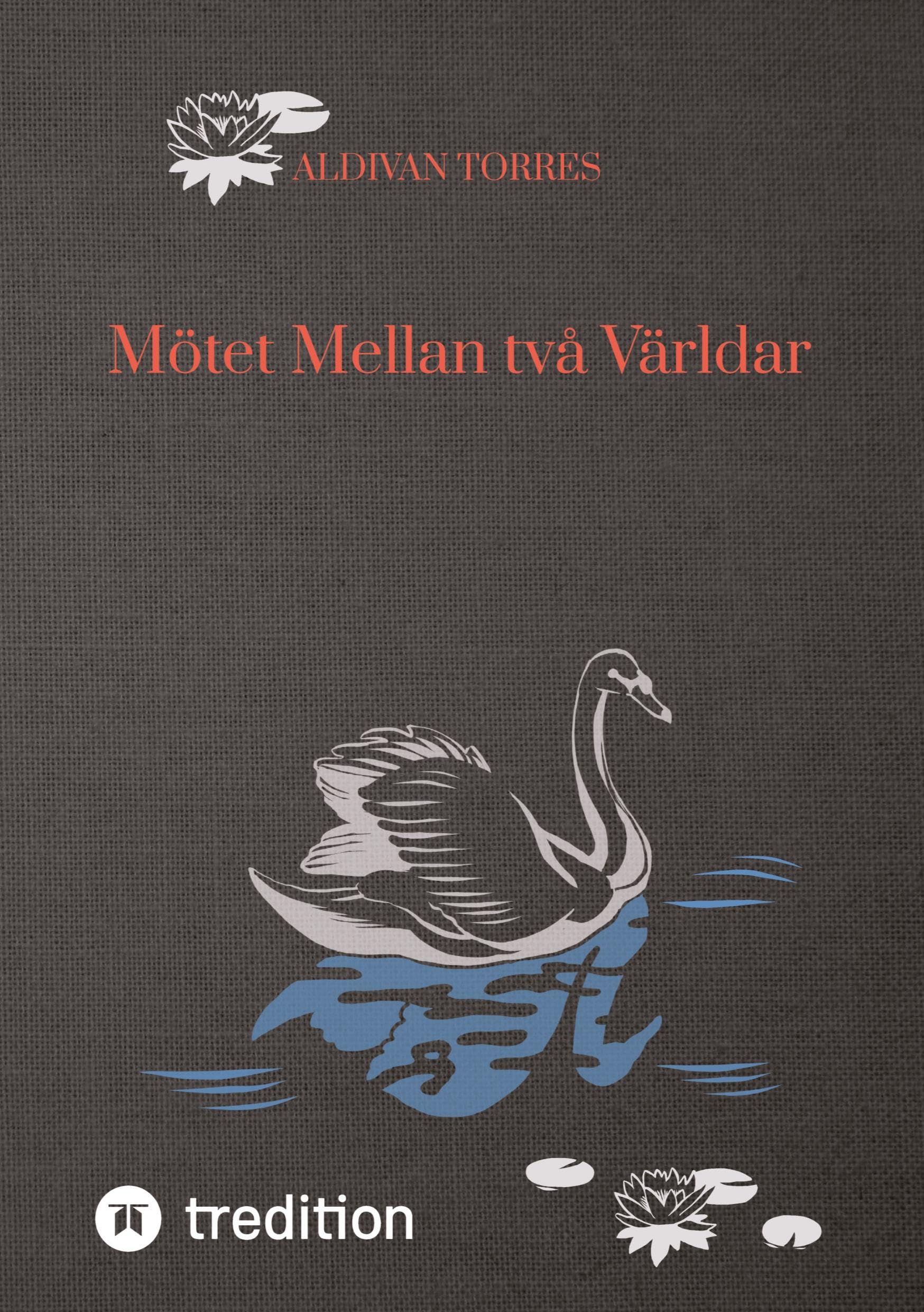Mötet Mellan två Världar: DE