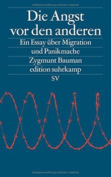 Die Angst vor den anderen: Ein Essay über Migration und Panikmache (edition suhrkamp)