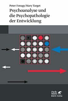 Psychoanalyse und die Psychopathologie der Entwicklung: Perspectives from Developmental Psychopathology