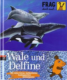 Frag doch mal ... die Maus! - Wale und Delfine