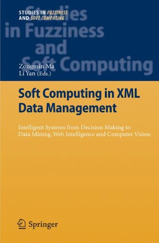 Soft Computing in XML Data Management: Intelligent Systems from Decision Making to Data Mining, Web Intelligence and Computer Vision (Studies in Fuzziness and Soft Computing)