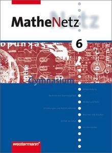 MatheNetz SI - Band 5 und 6. Allgemeine Ausgabe 2002: Schülerband 6