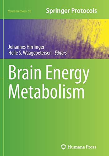 Brain Energy Metabolism (Neuromethods, Band 90)