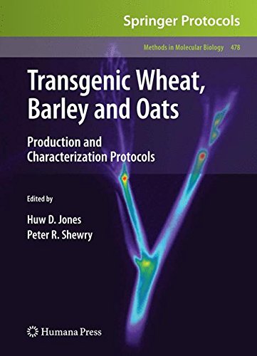 Transgenic Wheat, Barley and Oats: Production and Characterization Protocols (Methods in Molecular Biology, Band 478)