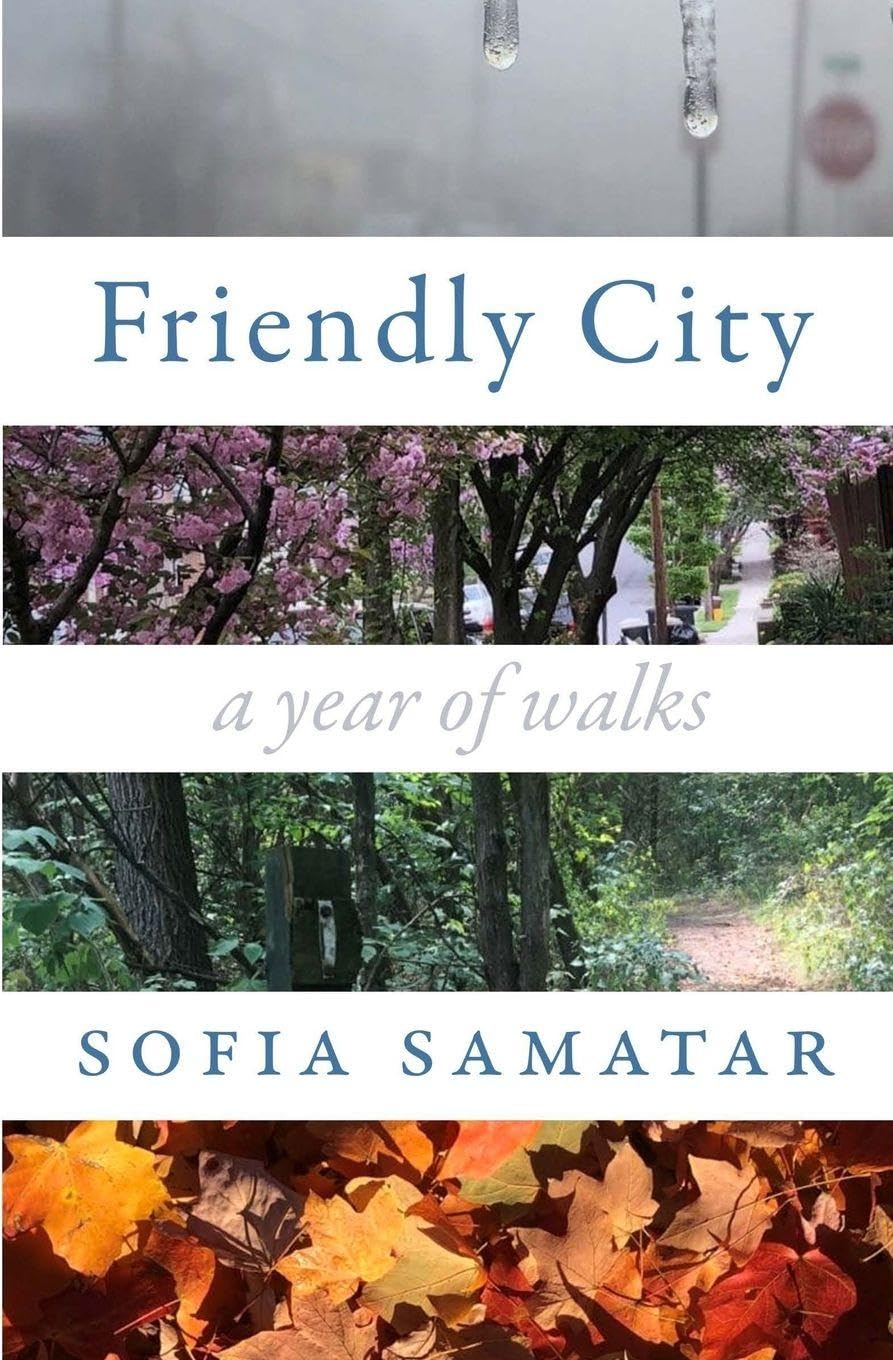 Friendly City: A Year of Walks