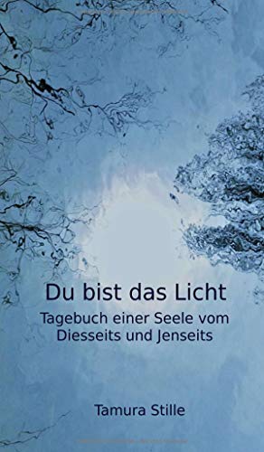 Du bist das Licht: Tagebuch einer Seele vom Diesseits und Jenseits