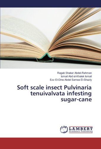 Soft scale insect Pulvinaria tenuivalvata infesting sugar-cane