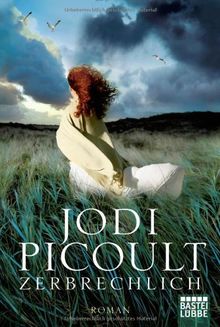 Zerbrechlich: Roman von Picoult, Jodi | Buch | Zustand gut
