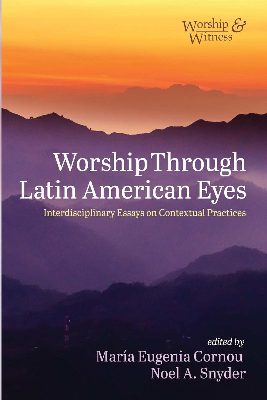 Worship Through Latin American Eyes: Interdisciplinary Essays on Contextual Practices (Worship and Witness)