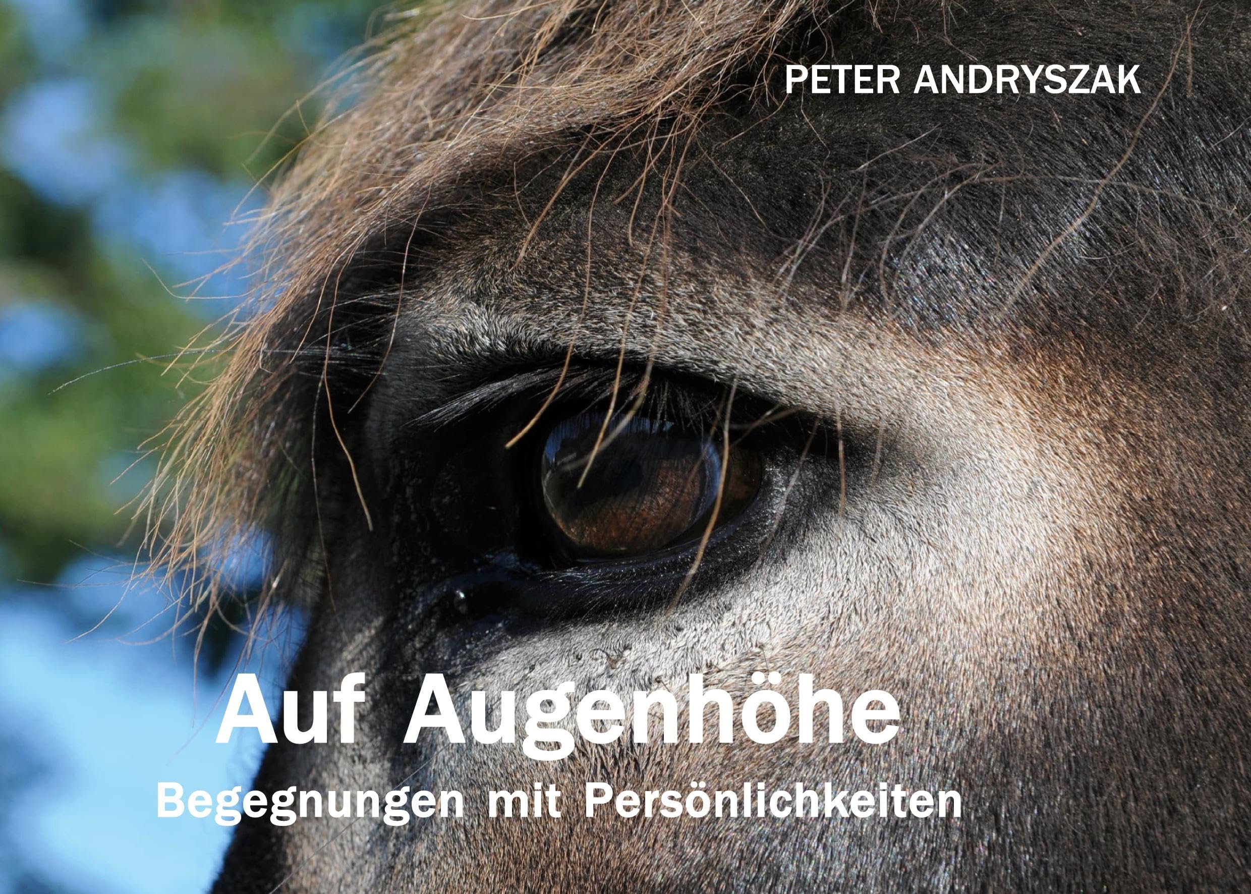 Auf Augenhöhe: Begegnungen mit Persönlichkeiten