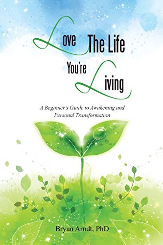 Love The Life You're Living: A Beginner's Guide to Awakening and Personal Transformation