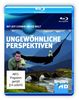 Discovery HD: Jeff Corwin - Ungewöhnliche Perspektiven [Blu-ray]