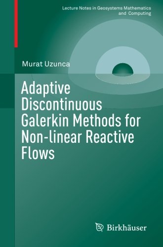 Adaptive Discontinuous Galerkin Methods for Non-linear Reactive Flows (Lecture Notes in Geosystems Mathematics and Computing)