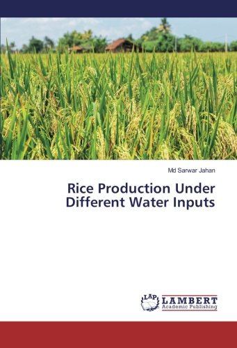 Rice Production Under Different Water Inputs