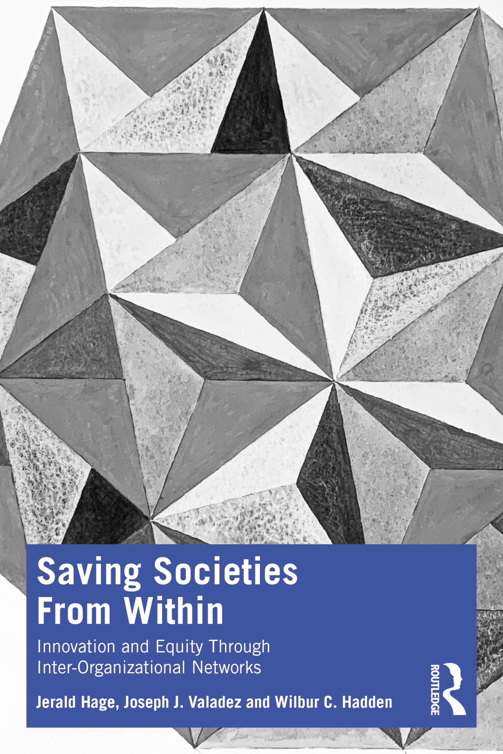 Saving Societies From Within: Innovation and Equity Through Inter-Organizational Networks