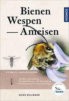 Bienen, Wespen, Ameisen: Staatenbildende Insekten Mitteleuropas