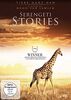 Serengeti Stories