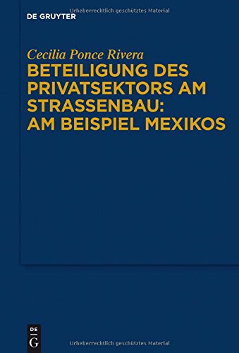 Beteiligung des Privatsektors am Straßenbau: Am Beispiel Mexiko