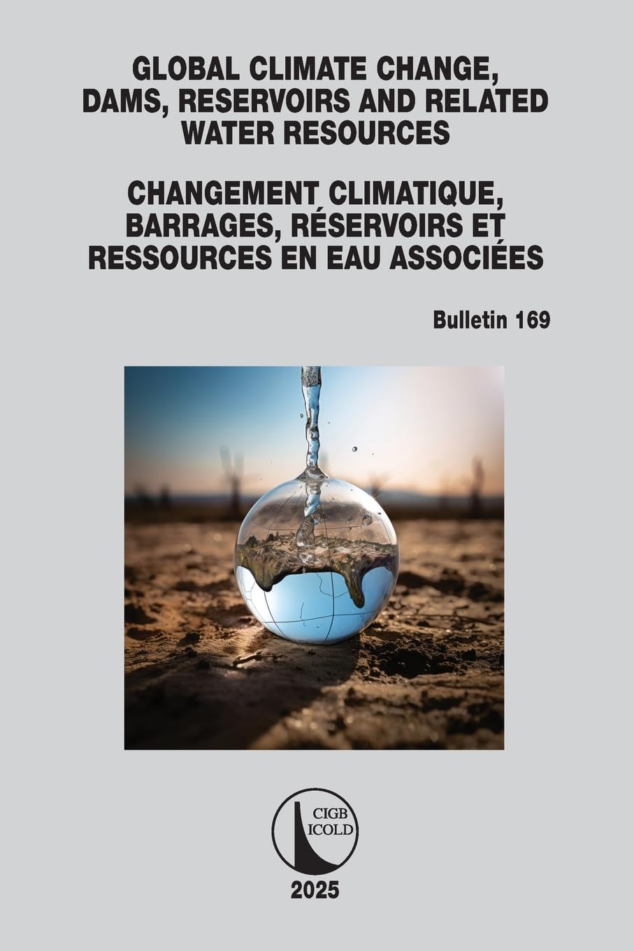 Global Climate Change, Dams, Reservoirs and Related Water Resources / Changement Climatique, Barrages, Réservoirs et Ressources en eau associées: ICOLD Bulletin 169 (Icold Bulletins)