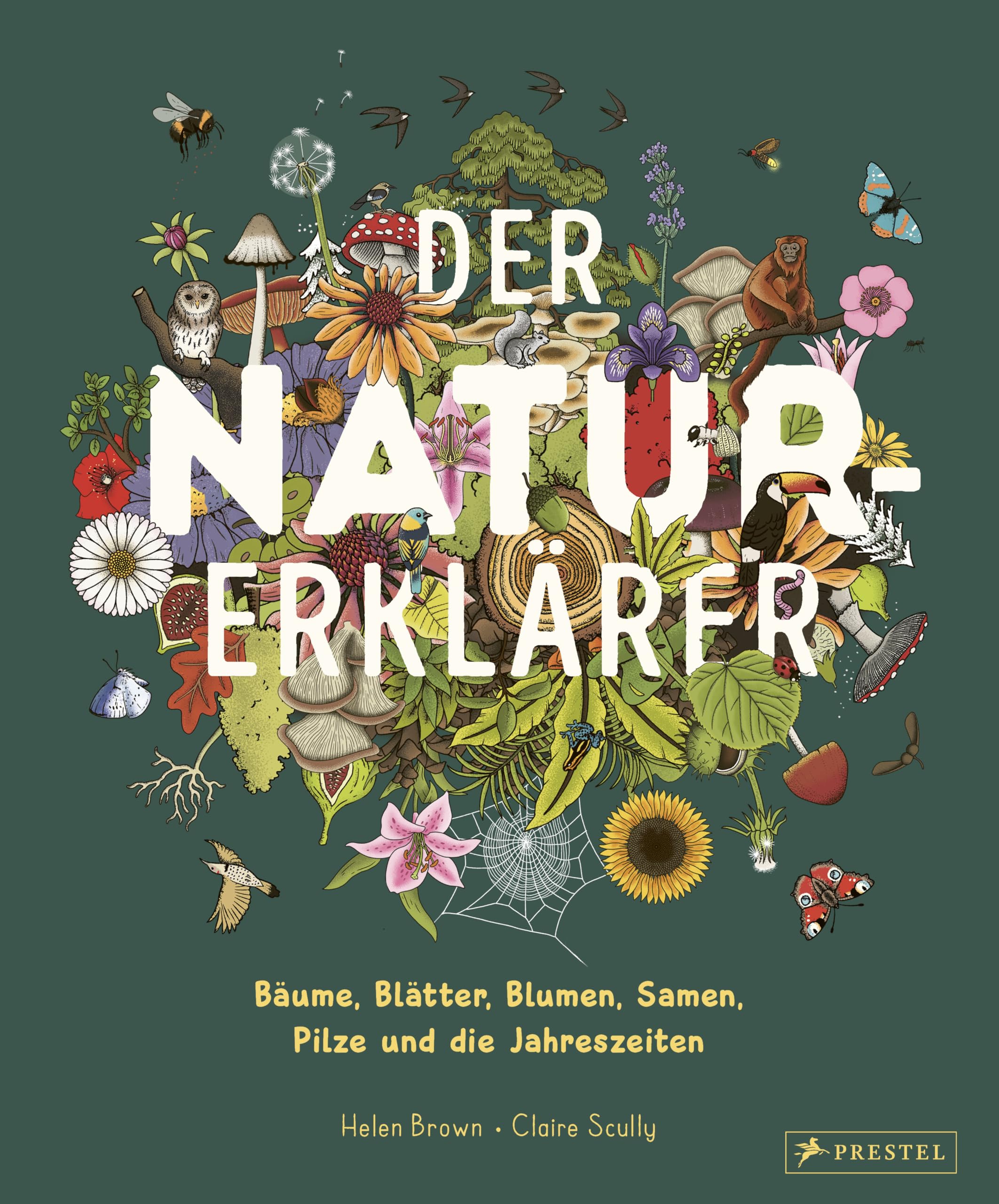Der Natur-Erklärer: Alles über Bäume, Blätter, Blumen, Samen, Pilze und die Jahreszeiten. Ein Sachbilderbuch für Kinder ab 5 Jahren