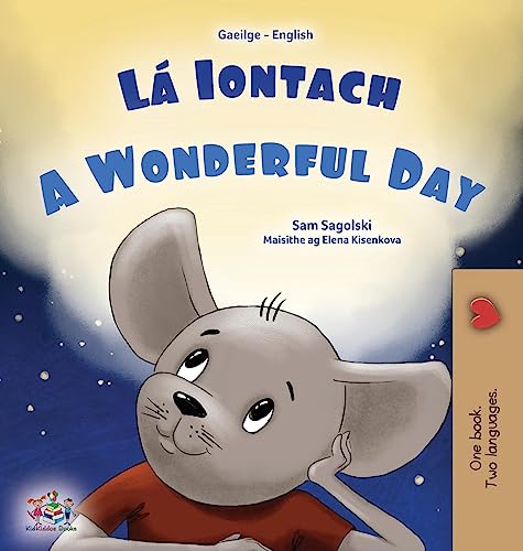 A Wonderful Day (Irish English Bilingual Book for Kids) (Irish English Bilingual Collection)