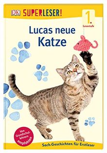 SUPERLESER! Lucas neue Katze: Sach-Geschichten für Leseanfänger, 1. Lesestufe