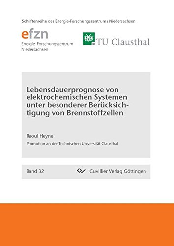 Lebensdauerprognose von elektrochemischen Systemen unter besonderer Berücksichtigung von Brennstoffzellen (Schriftenreihe des Energie-Forschungszentrums Niedersachsen (EFZN))