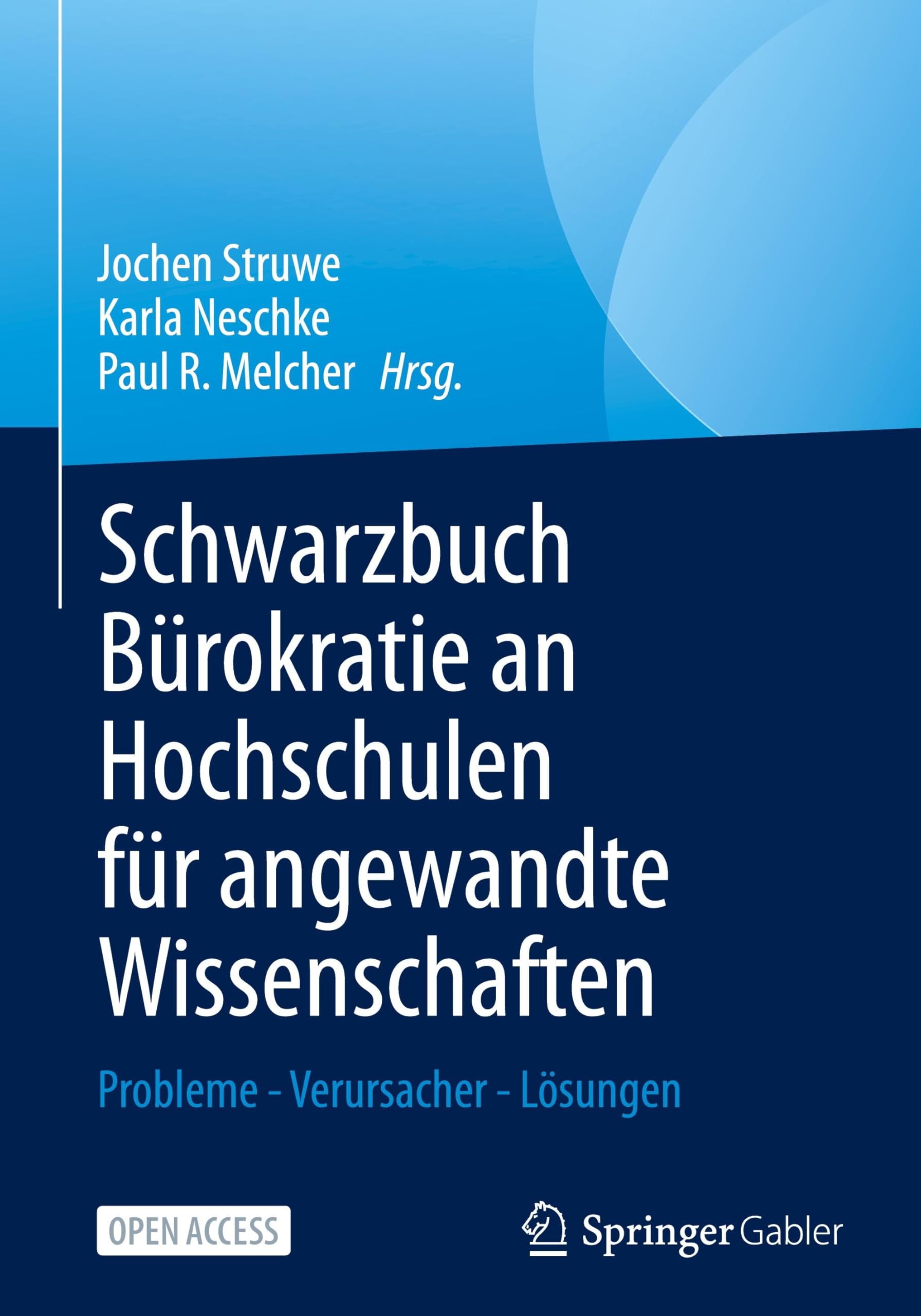 Schwarzbuch Bürokratie an Hochschulen für angewandte Wissenschaften: Probleme - Verursacher - Lösungen