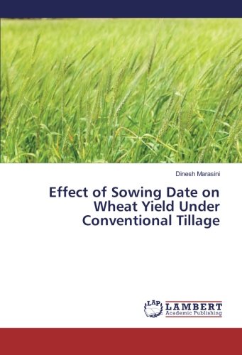 Effect of Sowing Date on Wheat Yield Under Conventional Tillage