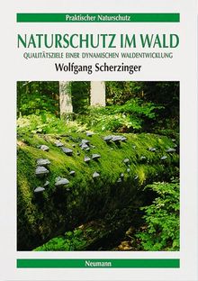 Naturschutz im Wald: Qualitätsziel einer dynamischen Waldentwicklung