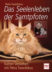 Das Seelenleben der Samtpfoten: Katzen verstehen mit Petra Twardokus von Petra Twardokus | Buch | Zustand gut
