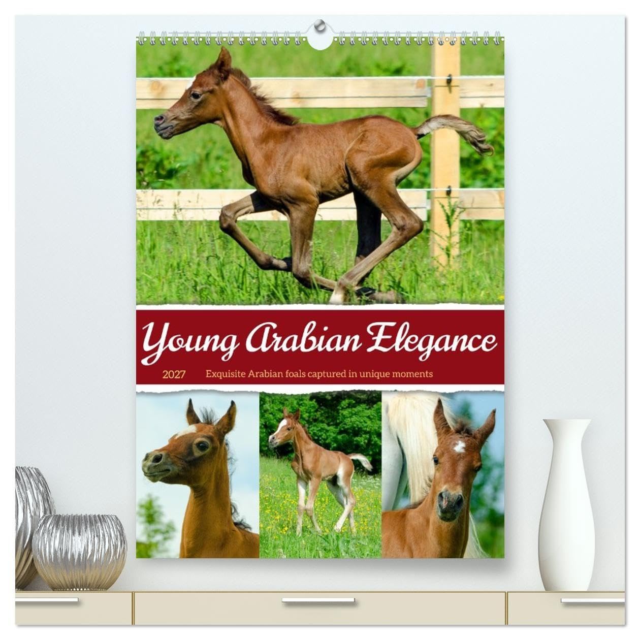 Young Arabian Elegance (High Quality Premium Wall Calendar 2027 DIN A2 portrait),CALVENDO 12 Month Wall Calendar: The fascinating world of young ... and a zest for life. (CALVENDO Animals)