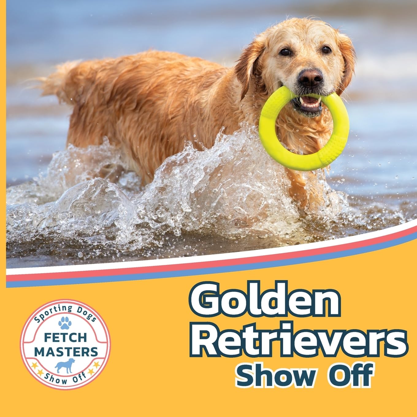 Golden Retrievers Show Off (Fetch Masters: Sporting Dogs Show Off, Band 2)