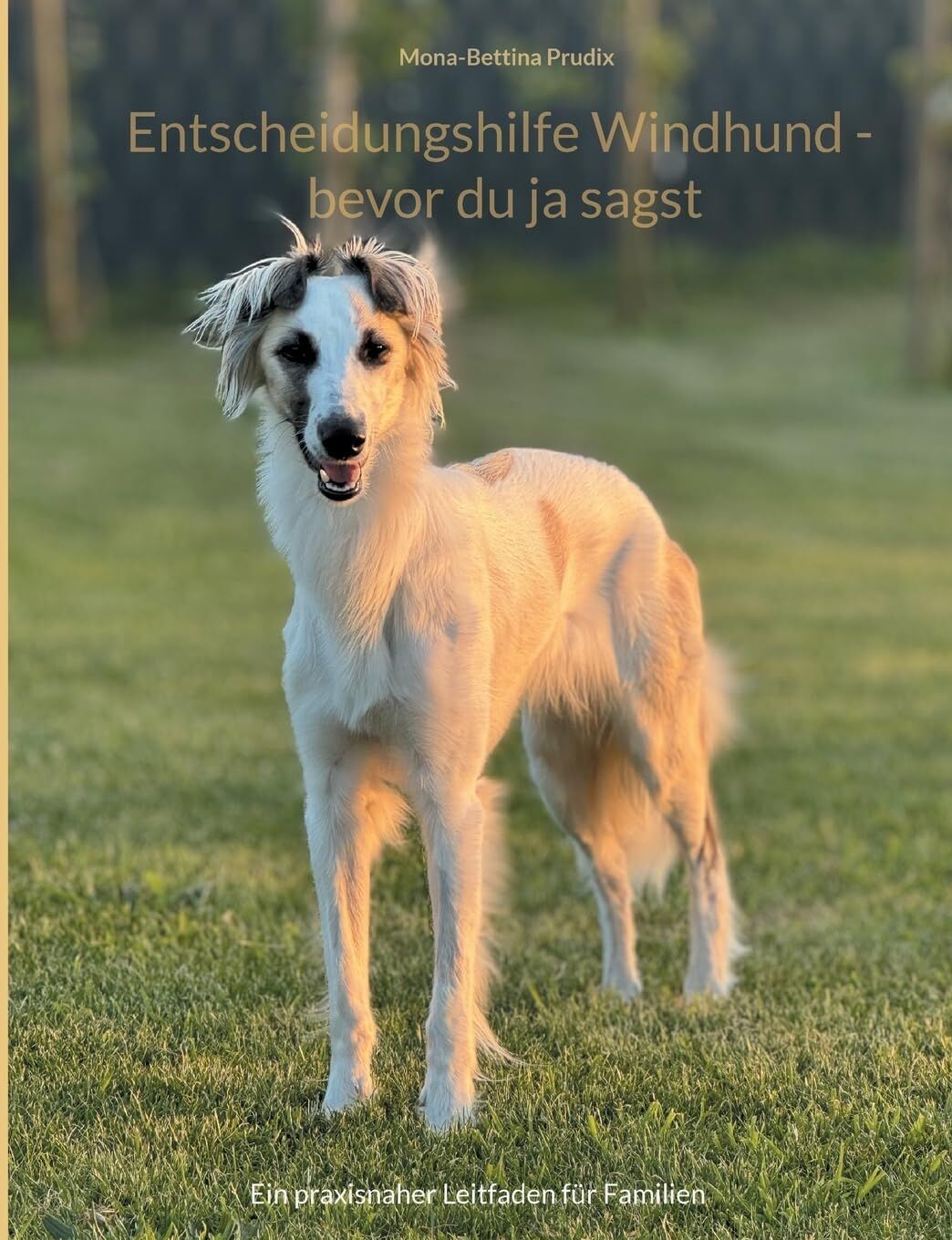 Entscheidungshilfe Windhund - bevor du ja sagst