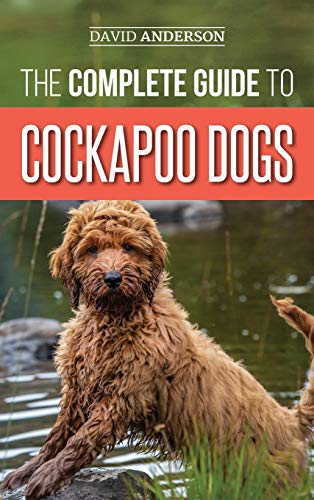 The Complete Guide to Cockapoo Dogs: Everything You Need to Know to Successfully Raise, Train, and Love Your New Cockapoo Dog