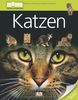 memo Wissen entdecken, Band 23: Katzen, mit Riesenposter!