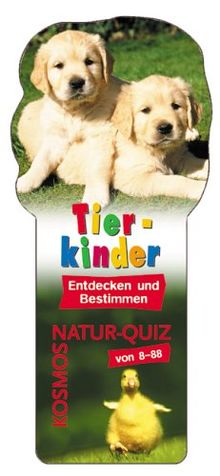 Tierkinder: Entdecken und bestimmen