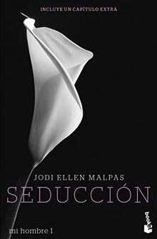 Mi hombre. Seducción: Serie Mi hombre 1 (Bestseller, Band 1)