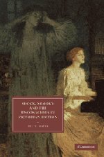 Shock, Memory and the Unconscious in Victorian Fiction (Cambridge Studies in Nineteenth-Century Literature and Culture, Band 69)
