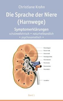 Die Sprache der Niere (Harnwege): Symptomerklärungen