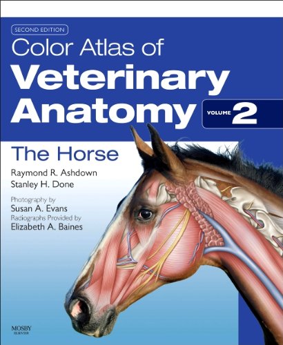 Ashdown, Raymond R. Color Atlas Of Veterinary Anatomy Volume 2, The Horse