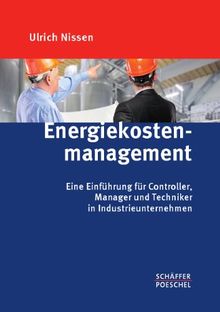 Energiekostenmanagement: Eine Einführung für Controller, Manager und Techniker in Industrieunternehmen