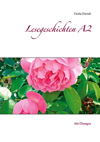 Lesegeschichten A2: Mit Übungen