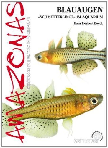 Boeck, Hans Herbert Blauaugen, Pseudomugilidae
