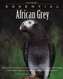 The Essential African Grey (Essential Guide S.)