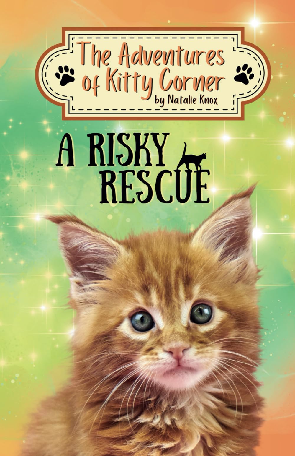 A Risky Rescue: The Adventures of Kitty Corner Book 1