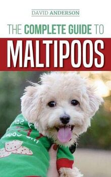 The Complete Guide to Maltipoos: Everything you need to know before getting your Maltipoo dog