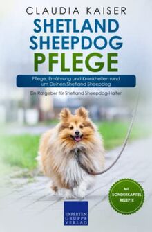 Shetland Sheepdog Pflege: Pflege, Ernährung und Krankheiten rund um Deinen Shetland Sheepdog