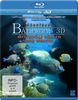 Abenteuer Bahamas 3D - Mysteriöse Höhlen und Wracks (inkl. 2D Version) [3D Blu-ray]
