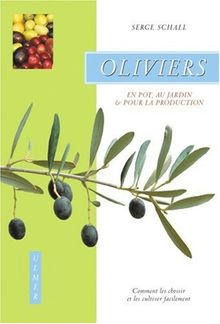 Oliviers : en pot, au jardin & pour la production